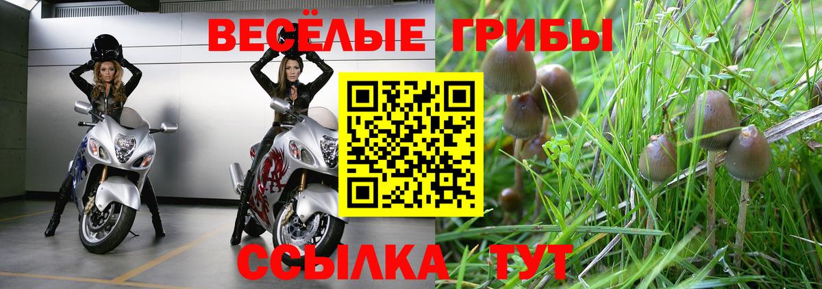 Псилоцибиновые грибы MAGIC MUSHROOMS  Вход с VPN  Саратов 
